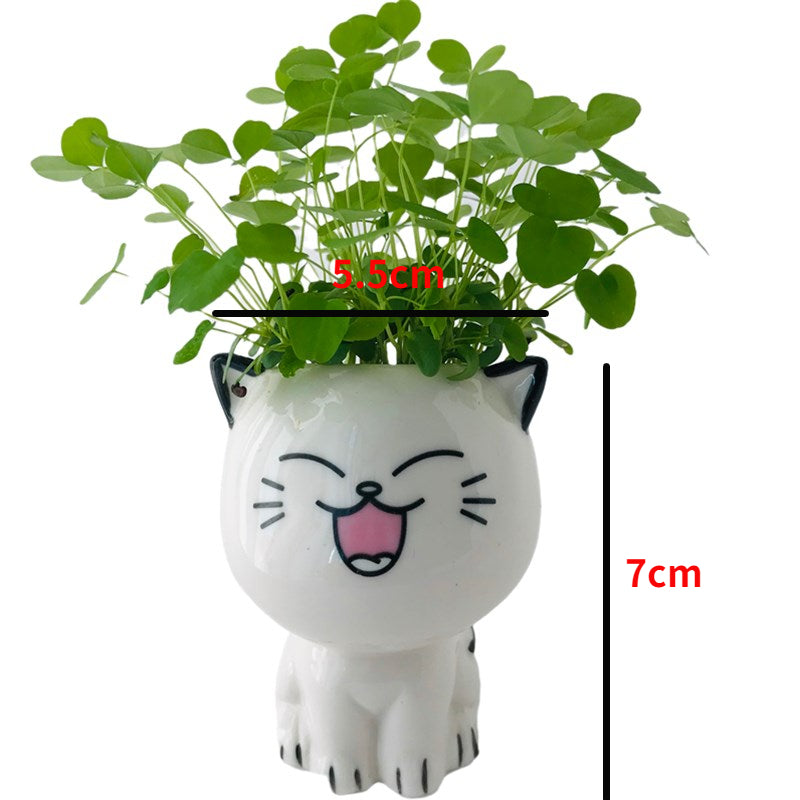 Ceramic Flowerpot Mini Cat Cartoon