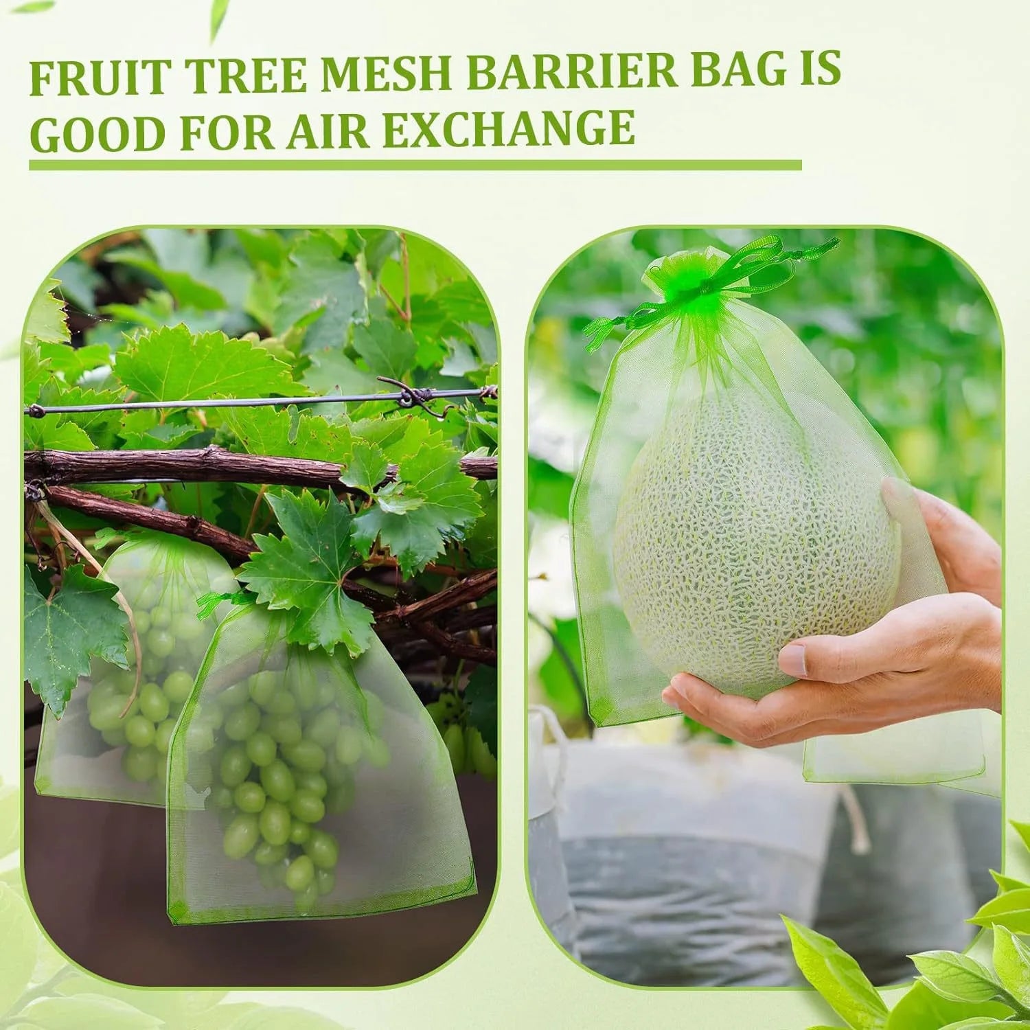 Fruit Protection Bags Anti-Bird Garden Netting
