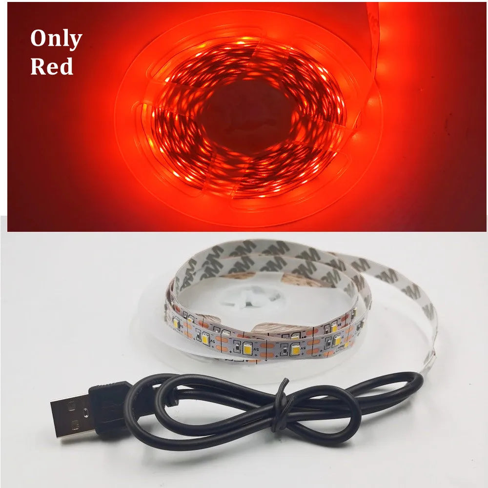 USB LED Strip Light 5V 3528  Warm Cool White Pink Green Blue Red
