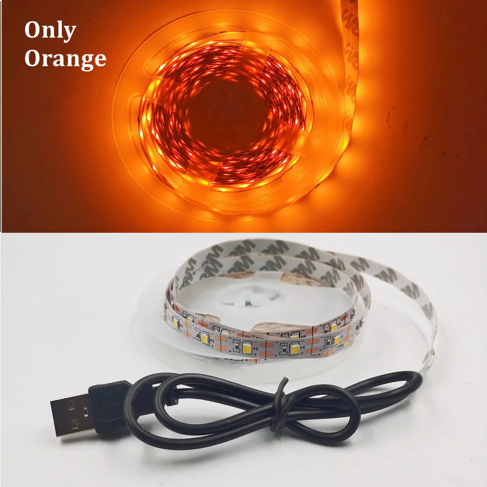 USB LED Strip Light 5V 3528  Warm Cool White Pink Green Blue Red