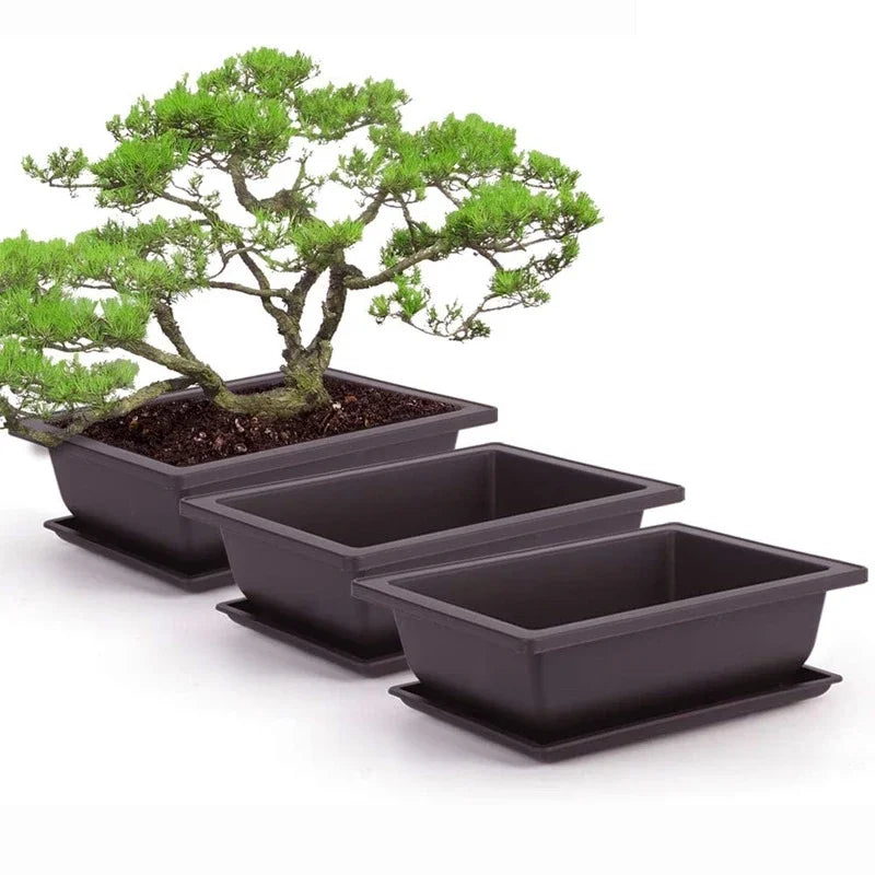 Garden Landscape Bonsai Pot Trays Rectangular Square Planter