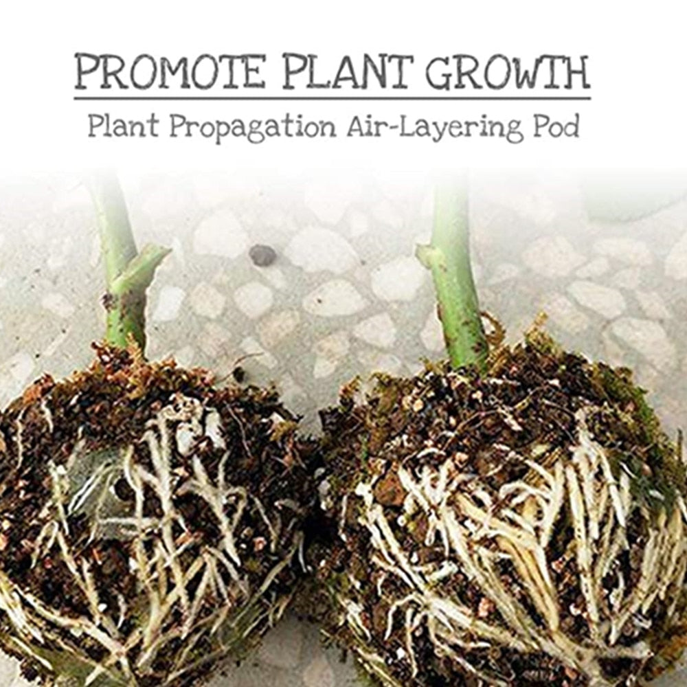 20Pcs 10Pcs 8Pcs Reusable Plant Rooting Ball - enoughdream.com