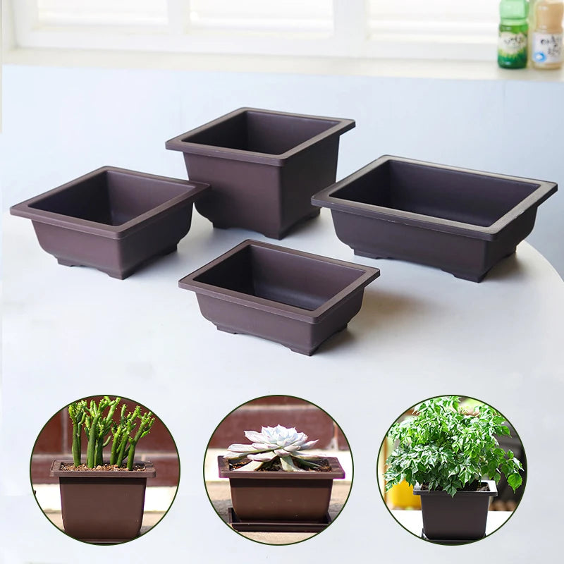 Garden Landscape Bonsai Pot Trays Rectangular Square Planter