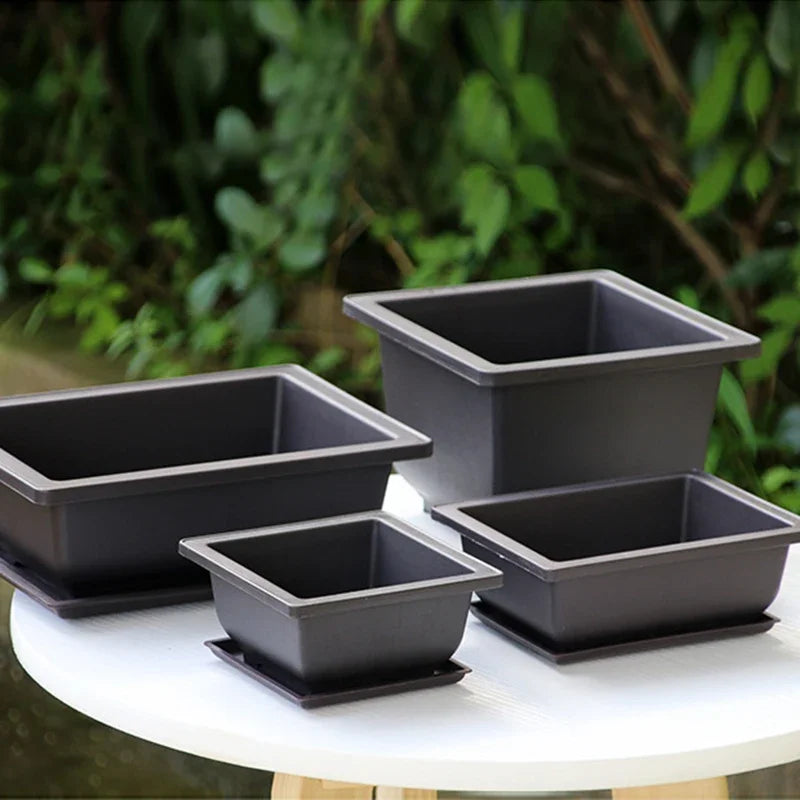 Garden Landscape Bonsai Pot Trays Rectangular Square Planter