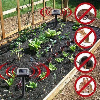 Repelente de Pragas com Painel Solar - Diga Adeus aos Roedores e Outras Pestes! - A.S Foco