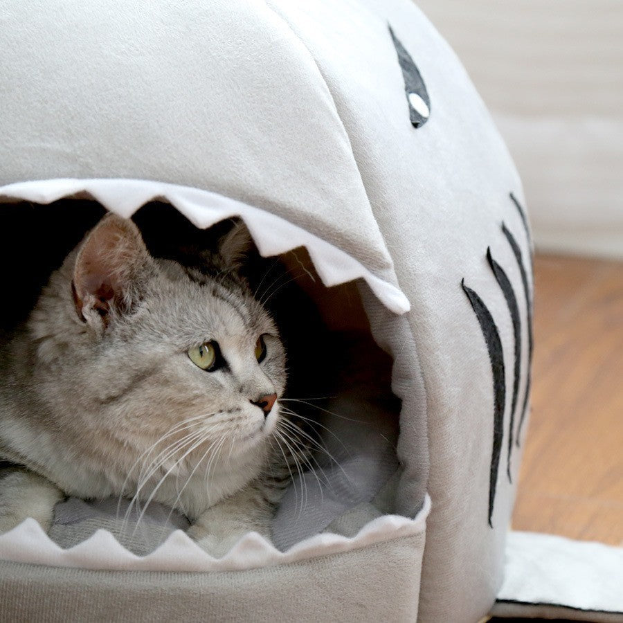 Toca para Gatos e Cachorros - Tubarão - A.S Foco
